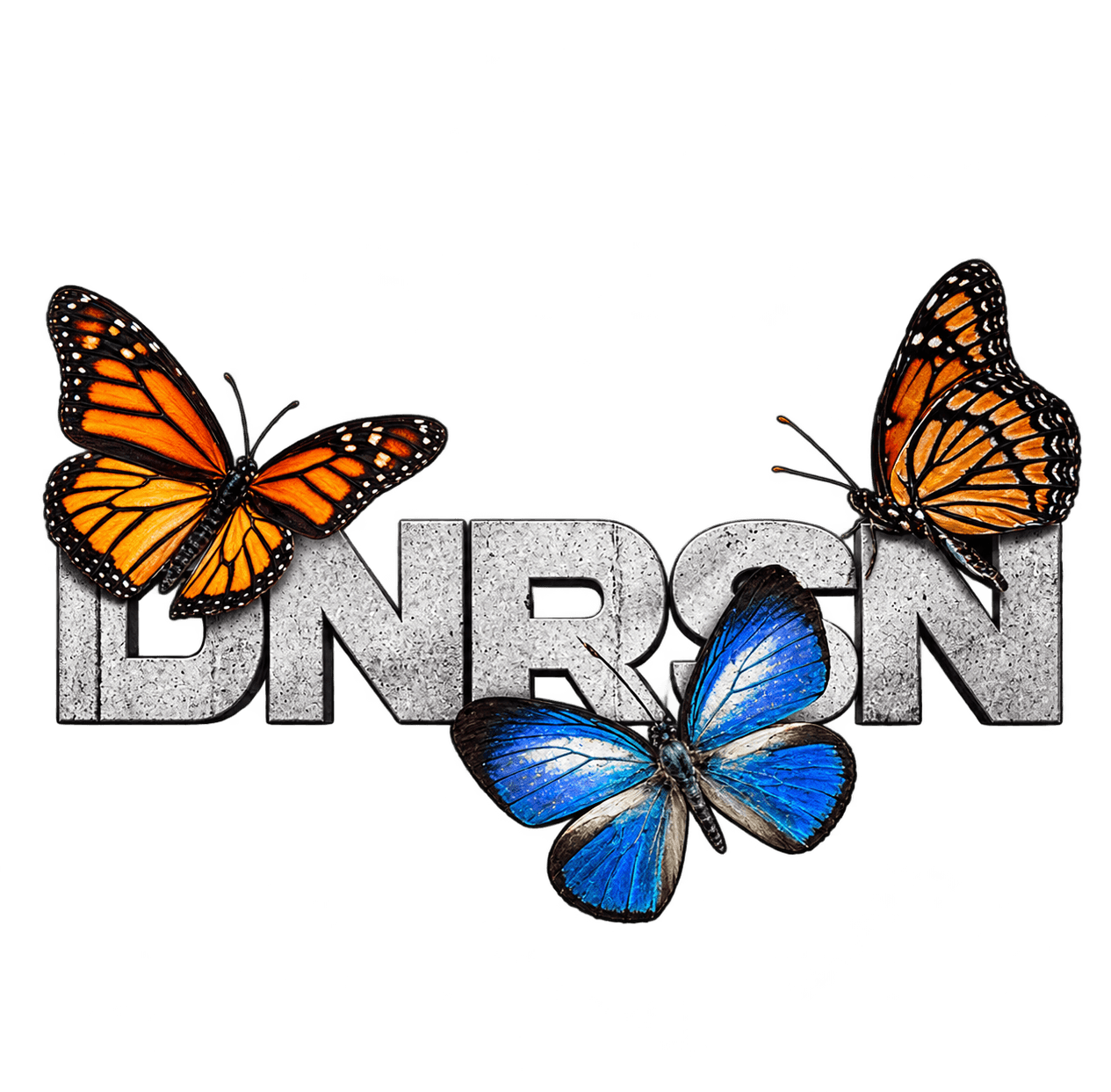 DNRSN – Butterflies Streetwear Art