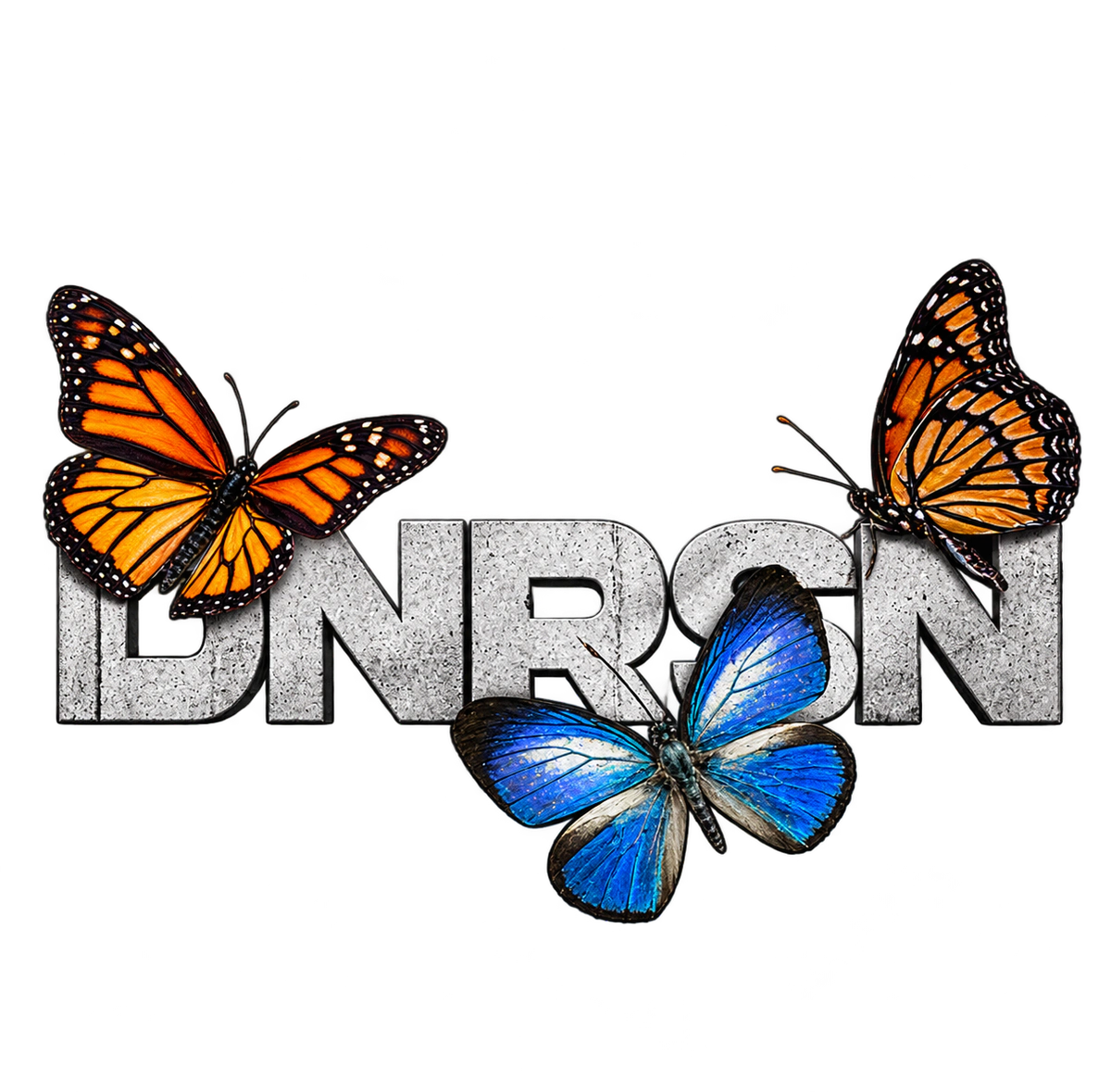 DNRSN – Butterflies Streetwear Art