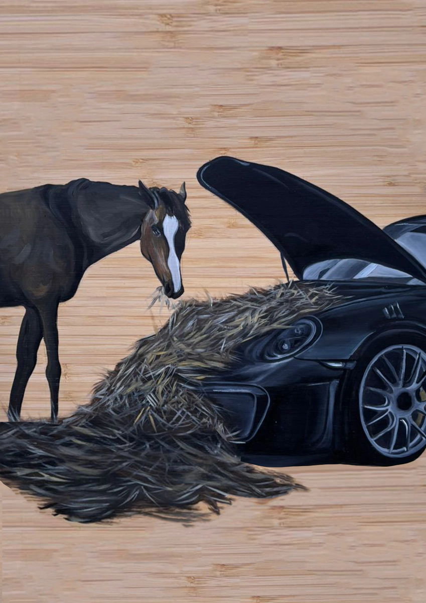 Porsche 911 gt3rs and horse